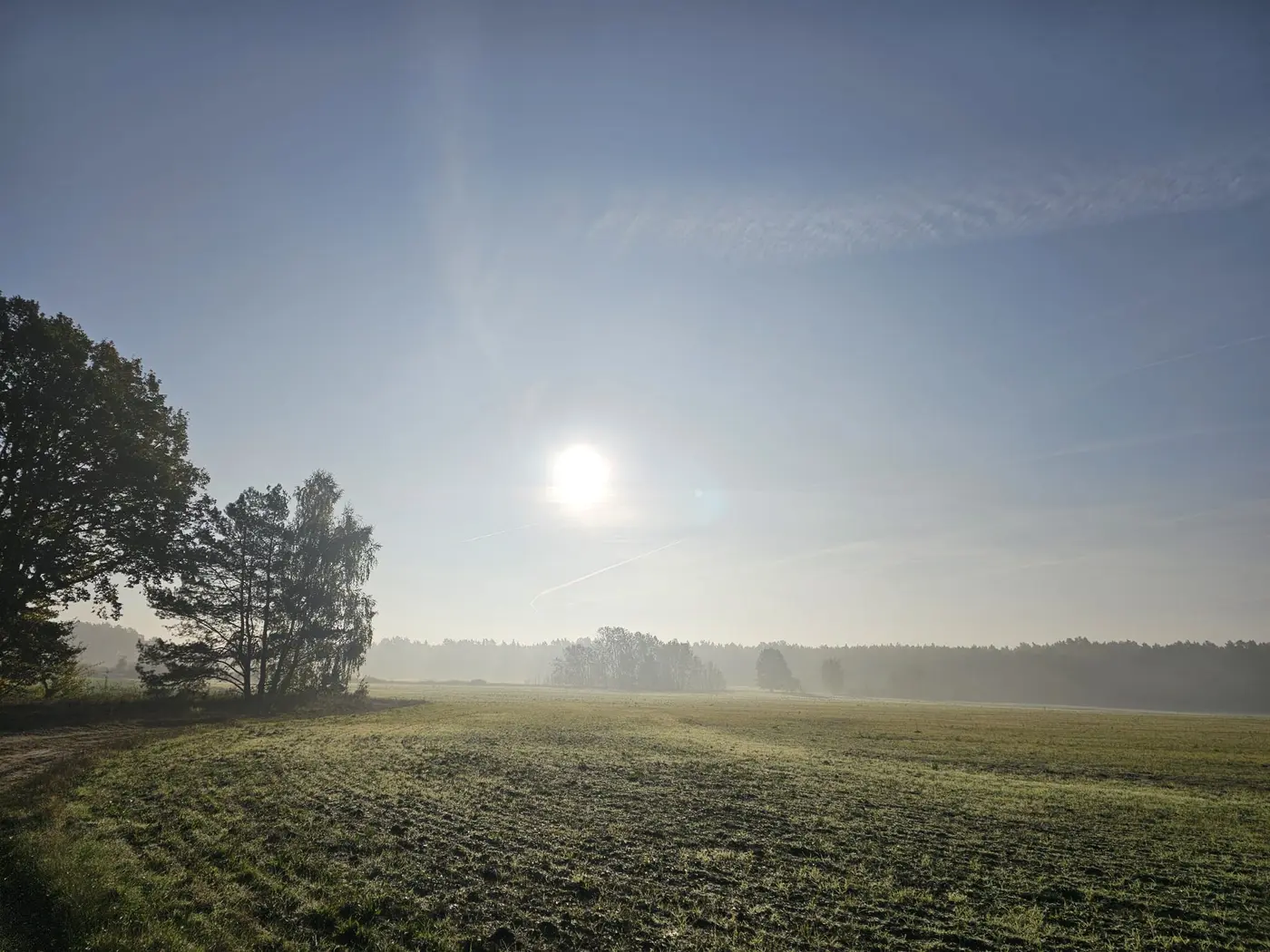 Landschaft in der Umgebung der Ferienwohnung Zahna-Loft — tief stehende Sonne über einem abgeernteten Feld am Waldrand