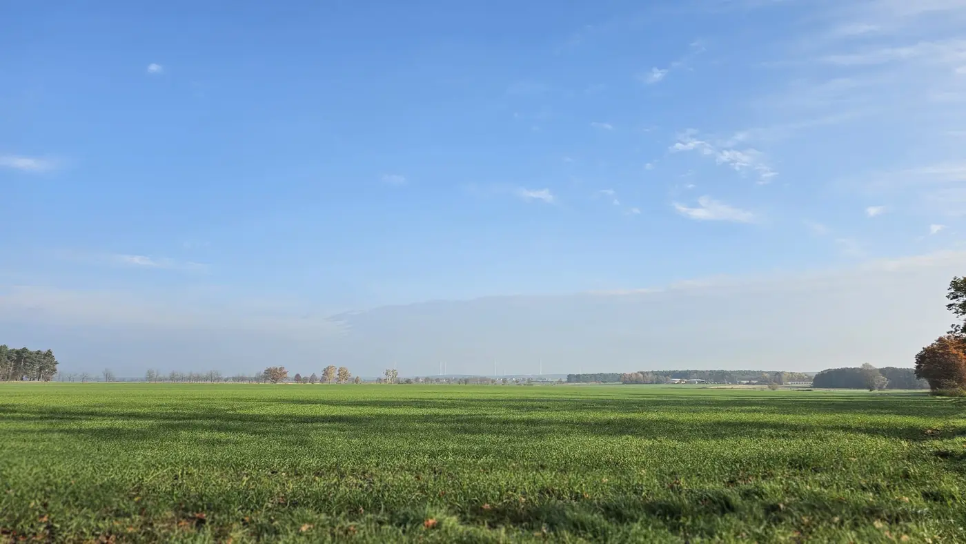 Landschaft in der Umgebung der Ferienwohnung Zahna-Loft — weites grünes Feld unter blauem Himmel