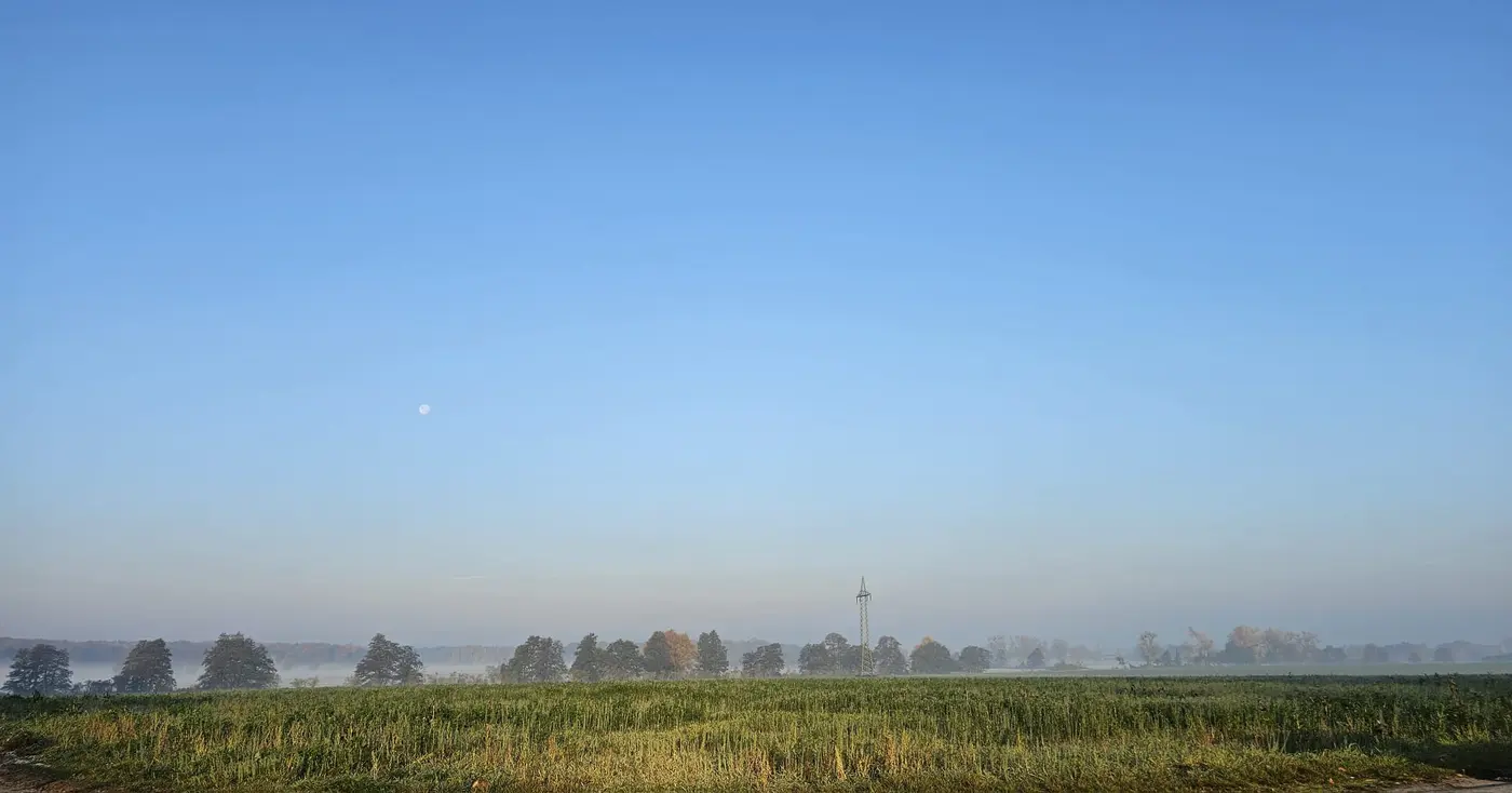 Landschaft in der Umgebung der Ferienwohnung Zahna-Loft — Bodennebel über Wiesen mit Ortssilhouette am Horizont