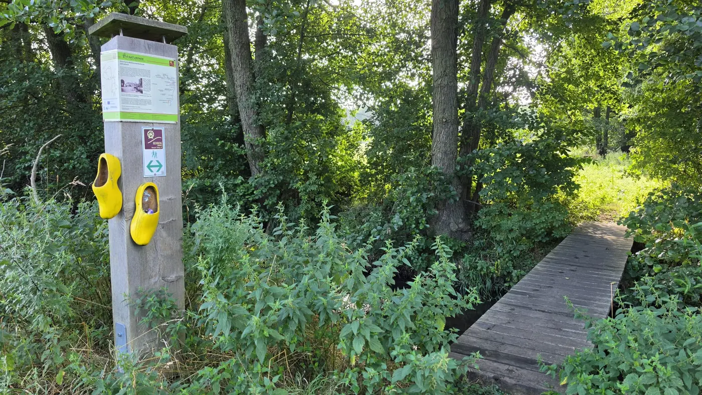Landschaft in der Umgebung der Ferienwohnung Zahna-Loft — Wanderweg-Infotafel an einem hölzernen Bohlensteg im Wald