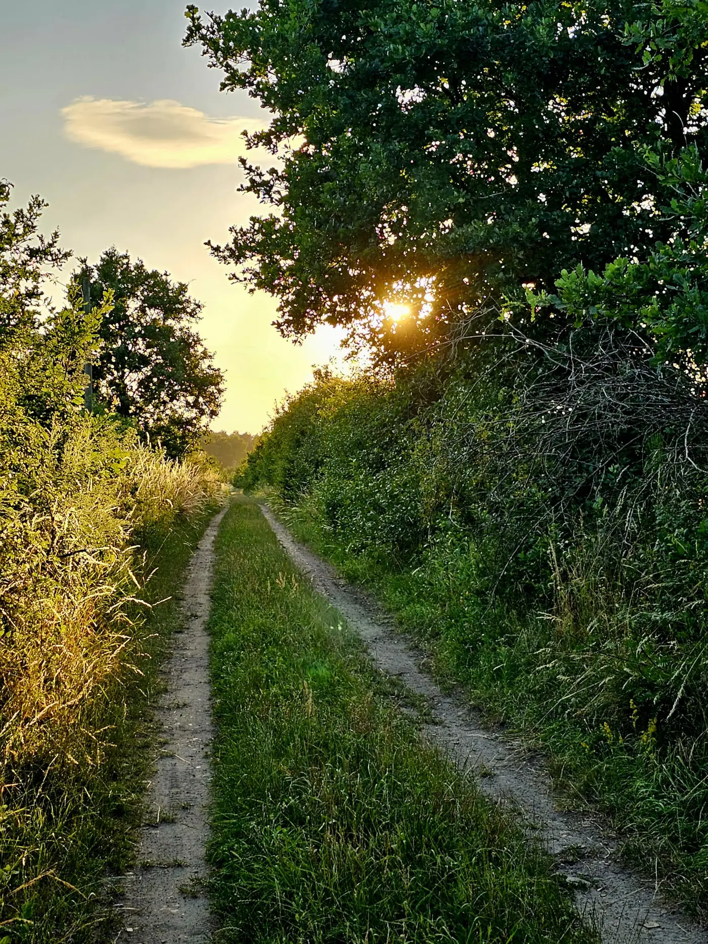 Wanderweg in der Umgebung der Ferienwohnung