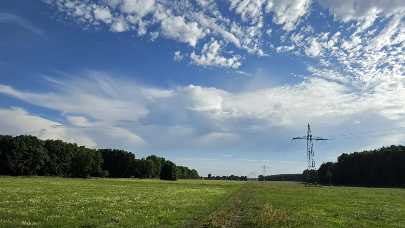 Wiesen- und Feldlandschaft in der Umgebung